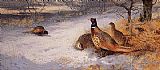 Pheasants in the Snow by Archibald Thorburn